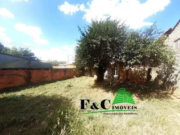 Imagem Apartamento para Venda em Limeira, Vila Castelar, 3 dormitórios, 2 banheiros