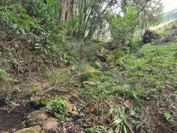 Imagem Lindo sítio à Venda em Piracaia