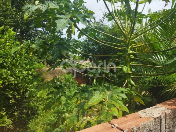 Imagem Casa à venda - Jardim Brasil