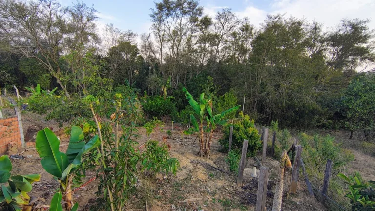 Imagem Imóvel para Venda em Araçoiaba da Serra-SP: Casa com 3 Quartos, 2 Salas, 1 Banheiro, 3 Vagas de Garagem, 1.080,00m² de Área no Bairro Cercado.