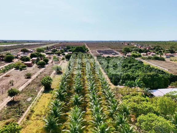 Imagem Área Beia Rio, Estrada das Pedrinhas, 8.4 hectares, PETROLINA - PE