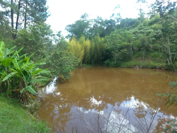 Imagem CHACARA A VENDA EM PIRACAIA DIVISA COM NAZARE PAULISTA