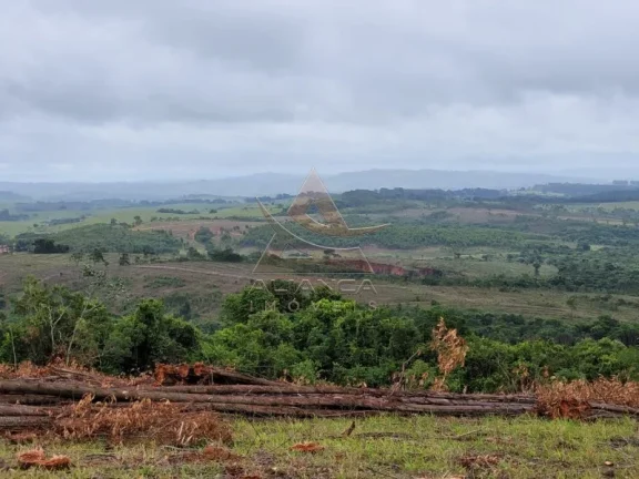 Imagem Fazenda - Santo Antônio do Amparo - Zona Rural