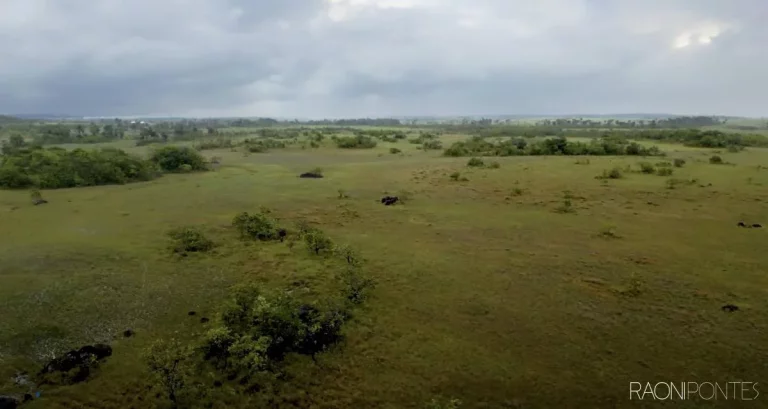 Imagem Fazenda à Venda, 5.800 m² em Zona Rural