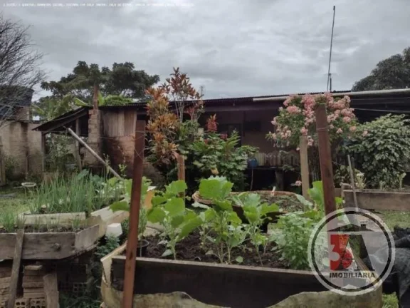 Imagem Chácara Estrada Japonês em Porto Velho