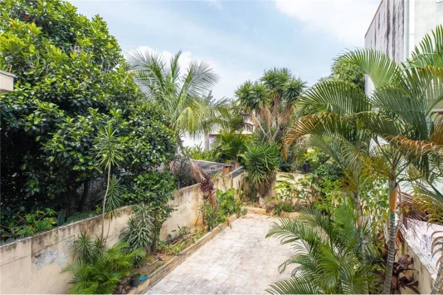 Imagem CASA RESIDENCIAL em São Paulo - SP, Vila Ipojuca