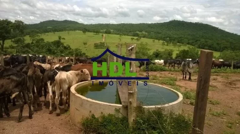 Imagem FAZENDA 38,5 ALQS TRIPLA APTIDÃO MUITA ÁGUA EM PIRACANJUBA - GO.