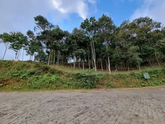 Imagem Terreno à venda, 567 m² por R$ 155.000,00 - Vargem Grande - Teresópolis/RJ