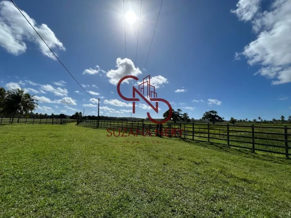 Imagem Fazenda residencial á venda em Nísia Floresta com 37 hectares