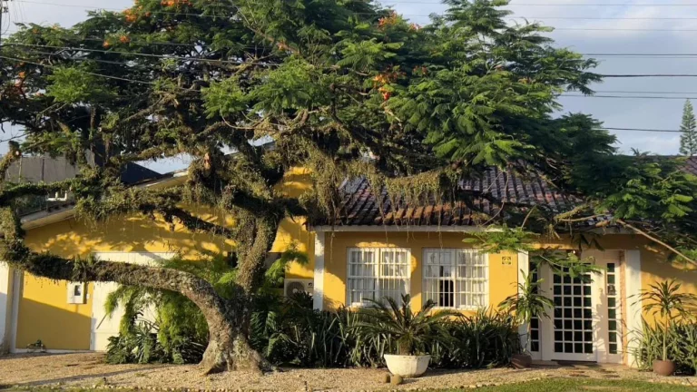 Imagem Casa para Venda em Florianópolis / SC no bairro Barra da Lagoa