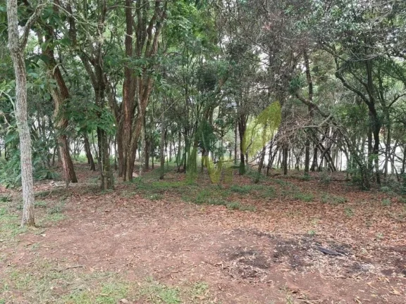 Imagem Chácara à Venda na Represa de Piracaia - Saída Exclusiva para água