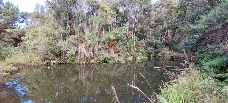 Imagem Chácara à venda em Campo Largo/PR