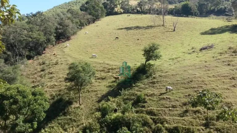 Imagem Chácara com 2 dormitórios à venda, 1870 m² por R$ 580.000,00 - Estância Santa Maria do Laranjal - Atibaia/SP