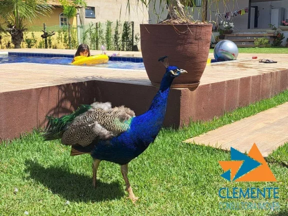 Imagem CASA ÁVENDA COND. FECHADO ESTANCIAS DA MATA-LAGOA SANTA JABOTICATUBAS-MG