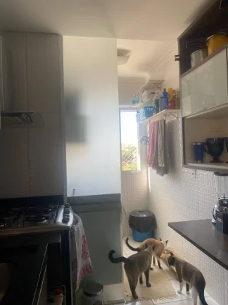 Imagem Apartamento Mobiliado para Locacao no Jardim Utinga!!!!