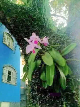 Imagem Linda casa com chácara perto de tudo. Estudo troca por imóveis de menor valor.