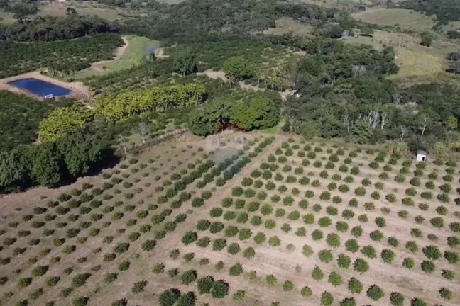 Imagem Sítio Fantástico com produção de Limão