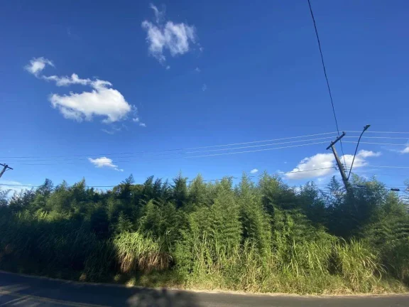 Imagem Terreno à Venda com 15.961,90 m2 na Colônia Rodrigo Silva
