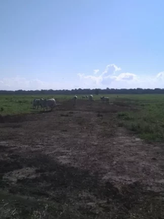 Imagem FAZENDA RURAL em LINHARES - ES, ÁREA RURAL DE LINHARES