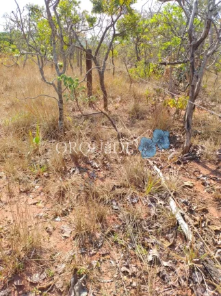 Imagem Fazenda à venda na Área Rural de Rio Verde-GO