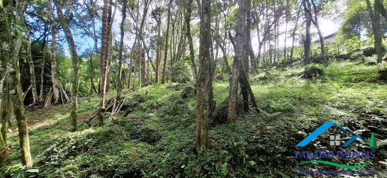 Imagem Mergulhe na Serenidade da Serra da Mantiqueira: Terreno com Cachoeira