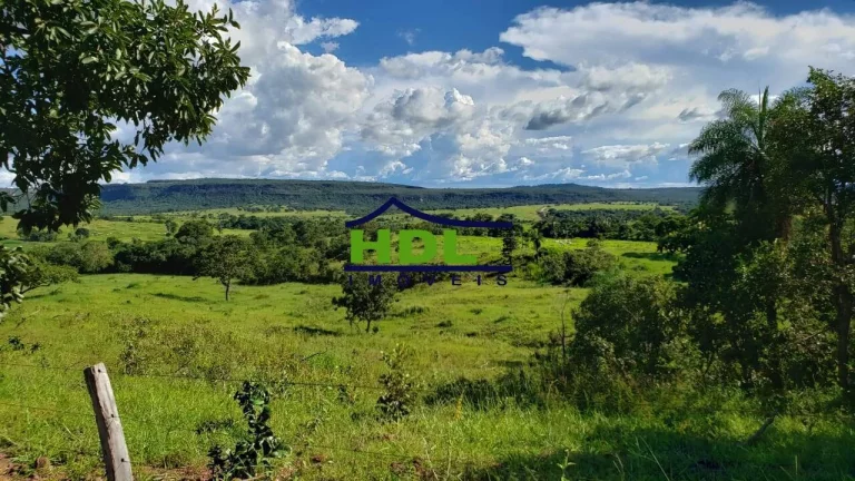 Imagem Fazenda com 351 Alqs dupla Aptidão em Piranhas/GO