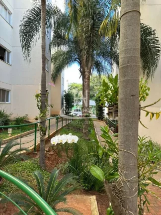Imagem Apartamento Residencial Colorado