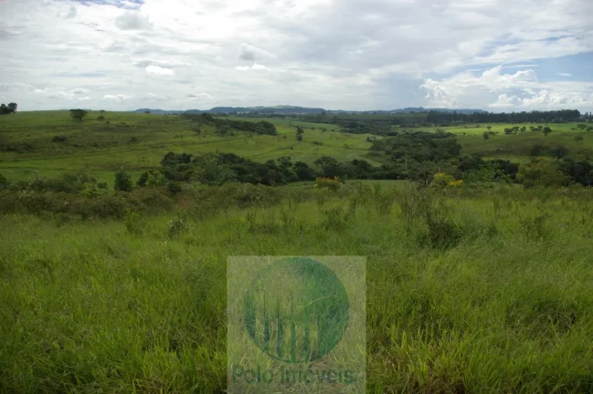 Imagem Fazenda em Cajuru 72 alqueires com soja, gado, braquiária e estrutura, 75 km de Ribeirão Preto - SP