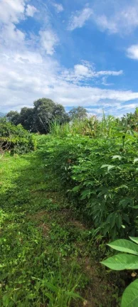 Imagem Sítio à venda, 45.000 m² por R$ 1.200.000 - Área Rural - Monte Mor/SP