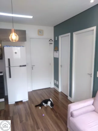 Imagem Apartamento em Sao Paulo / Zona sul / Socorro / Ótimo local.