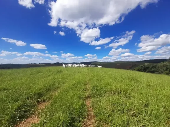 Imagem Fazenda à venda em Ibertioga, ZONA RURAL, 148ha