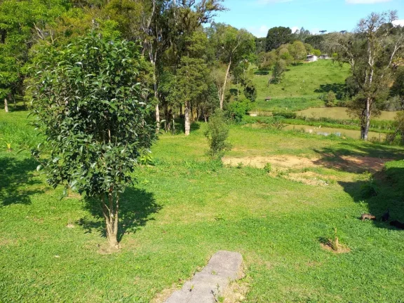 Imagem Chácara para Venda em Quitandinha, Zona Rural