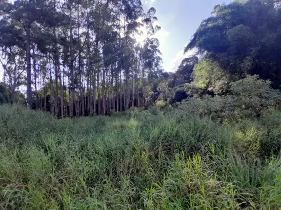 Imagem Lote à venda em Barbacena, Colônia Rodrigo Silva, 2500m2