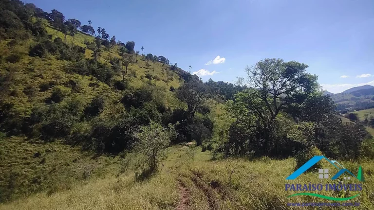 Imagem Paraíso Ecológico na Mantiqueira: 44 ha com vista espetacular e nascentes!