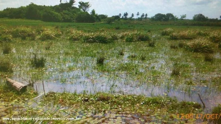 Imagem Fazenda para Venda em Extremoz, capim -extremoz, 3 dormitórios, 1 suíte, 2 banheiros, 6 vagas
