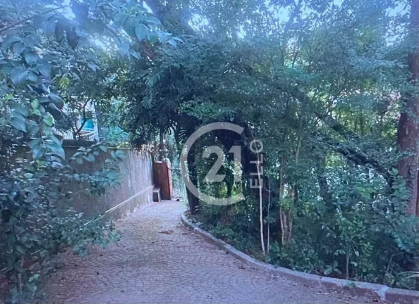 Imagem Casa com 8 à venda, Paineiras do Morumbi - São Paulo