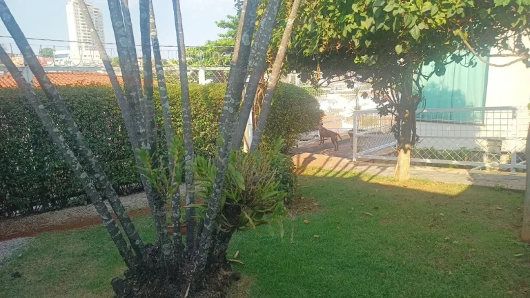 Imagem Casa Comercial de Alto Padrão na Vila Trujillo Sorocaba-SP 4 Quartos, 3 Salas, 4 Vagas de Garagem 559,00 m²