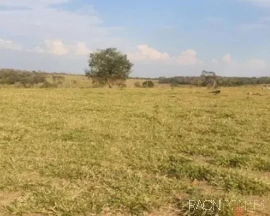 Imagem Fazenda à Venda, 2.032.800 m² em Zona Rural - Guaraci