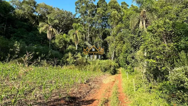 Imagem Chácara - Sítio com 1 Dormitorio(s) localizado(a) no bairro Pinhal Alto em Nova Petrópolis / RIO GRANDE DO SUL Ref.:1472