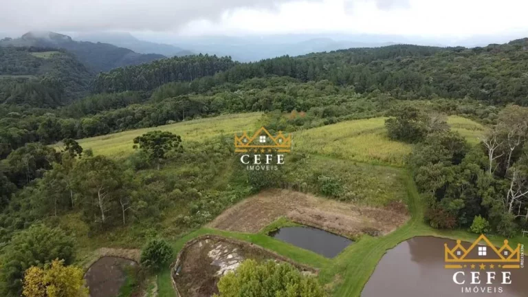Imagem Sala Comercial à Venda, 200 m² em Serra Grande - Três Coroas