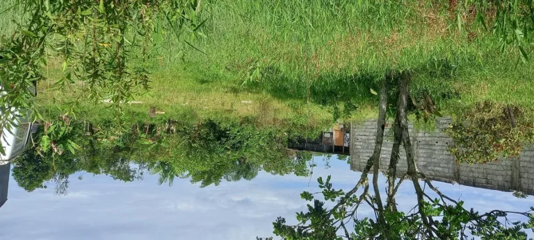 Imagem Terreno para Venda em Itanhaém, Parque Vergara