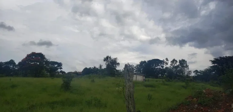 Imagem Lote à venda – 5.334,41 m2 – Colônia Rodrigo Silva