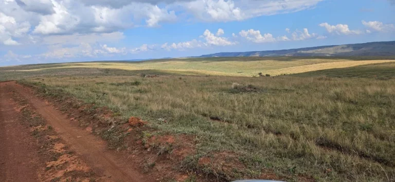 Imagem FAZENDA À VENDA EM DELFINÓPOLIS - MG COM 430 ALQUEIRES