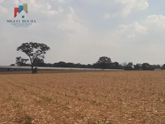Imagem Sítio a venda Cesário Lange SP