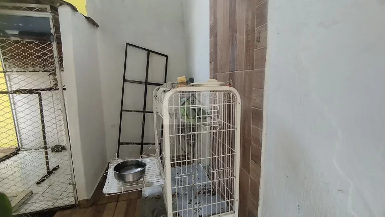Imagem Ampla Casa Duplex com Anexo, Churrasqueira e 8 Vagas – Taquara