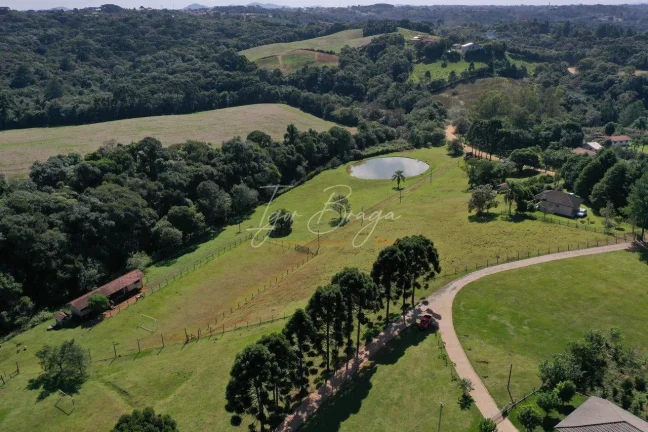 Imagem Chácara em Campo Largo com lago a venda