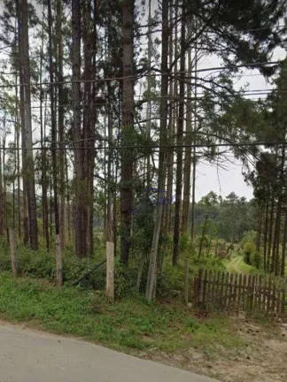 Imagem Terreno à venda, 54330 m² por R$ 27.000.000,00 - Jardim da Represa do Cipo - Embu-Guaçu/SP