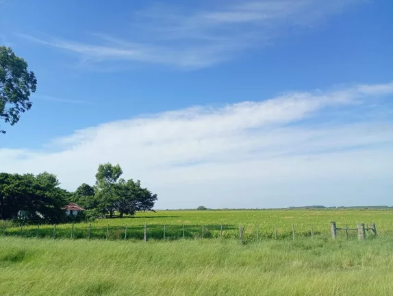 Fazenda à Venda – 173 Hectares – Arambaré/RS