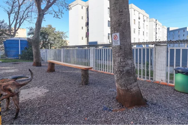 Imagem Apartamento à venda no bairro Jardim Leopoldina - Porto Alegre/RS