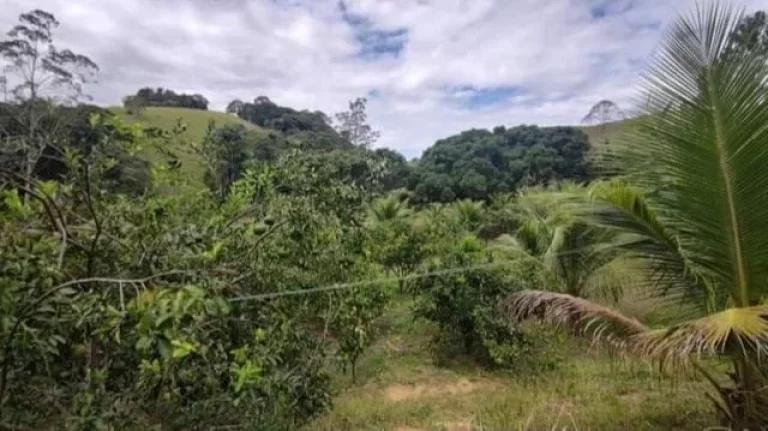 Imagem Fazenda em Macaé - RJ, Área rural